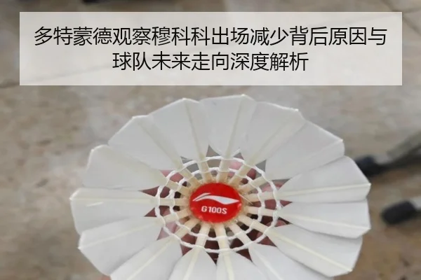 多特蒙德观察穆科科出场减少背后原因与球队未来走向深度解析